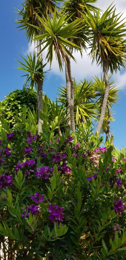 Villa Quinta Da Violeta Лоле Экстерьер фото